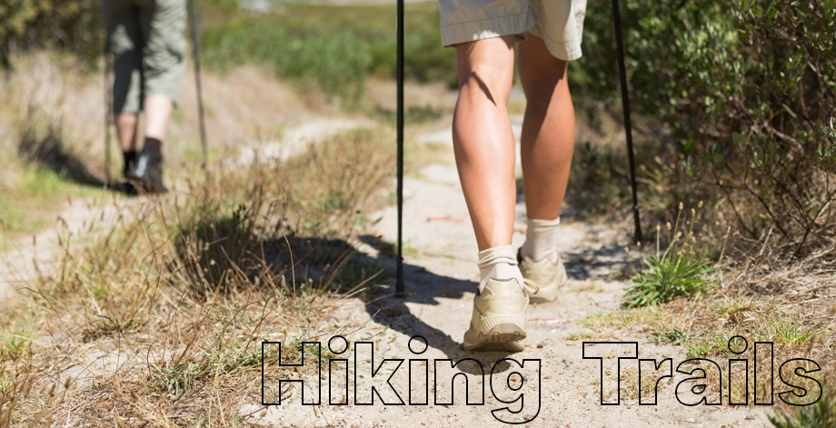Savannah Hiking