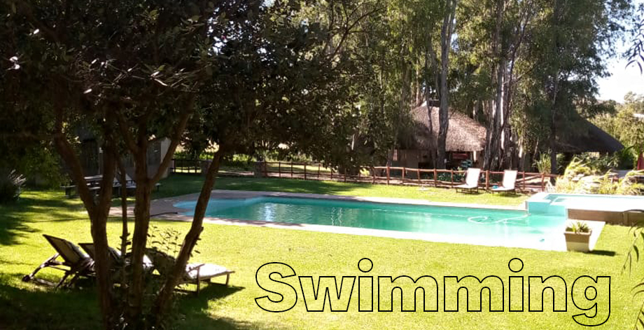 Savannah Swimming