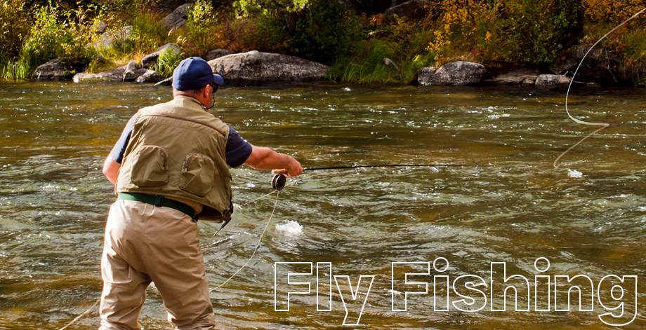 Savannah fly fishing