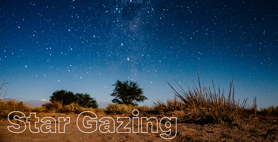 Star Gazing