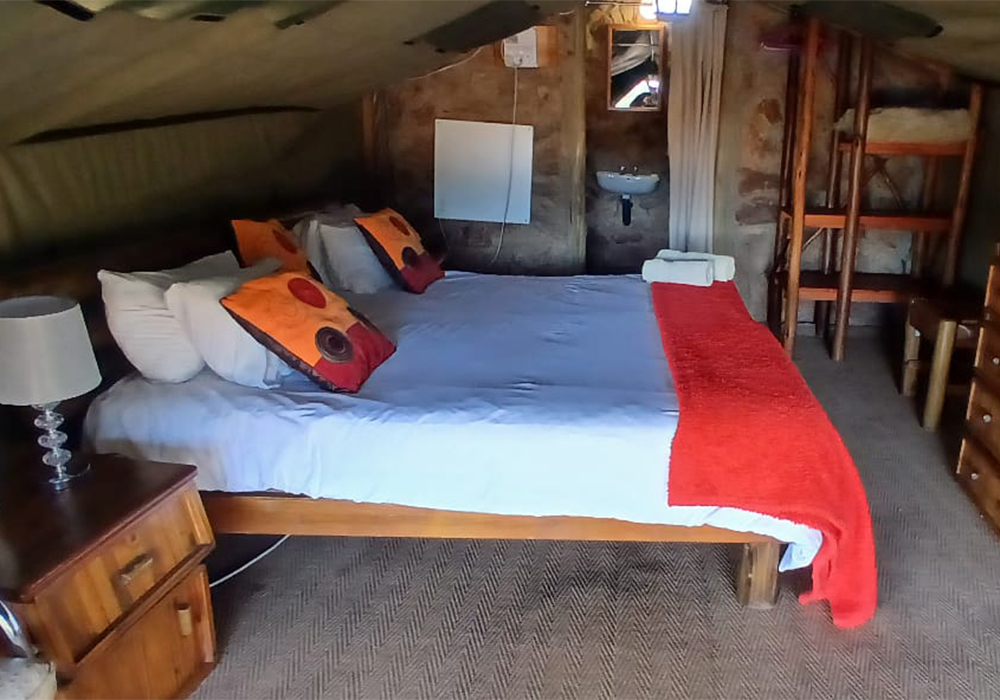 1Springbok5