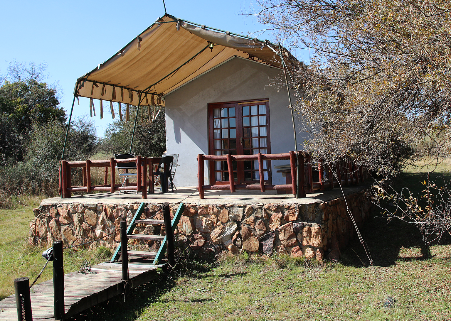 Blesbok5