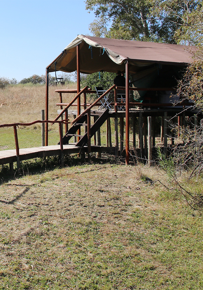 Springbok10a