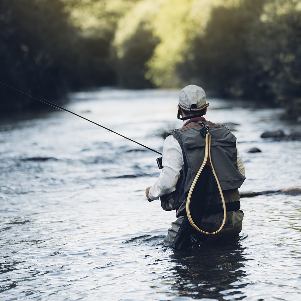 Fly fisher