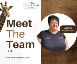 Copy of Www.savannahparys.com (8)