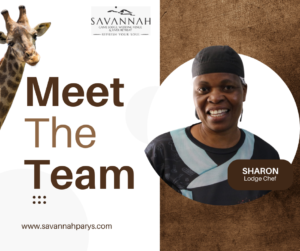 Copy of Www.savannahparys.com (9)